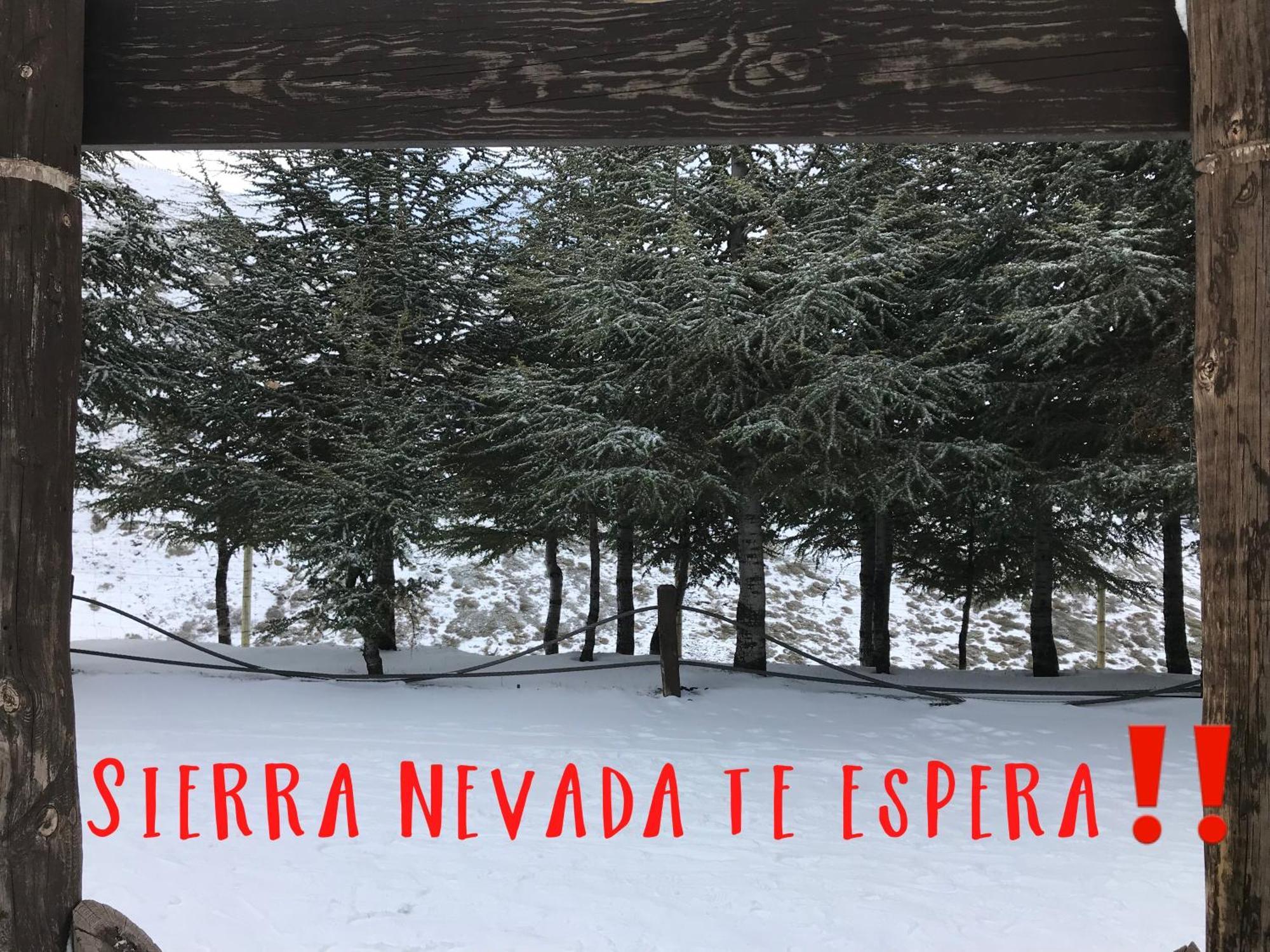 Inside Plaza Sierra Nevada Apartment ภายนอก รูปภาพ